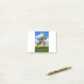 De oude boom post-it® notes (Op bureau)