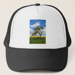 De oude boom trucker pet