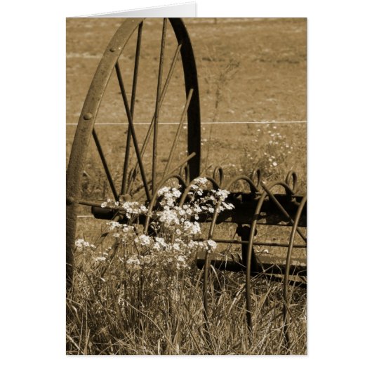 De oude dagen (Voorkant)