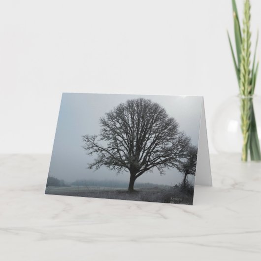 De oude eik. kaart (Voorkant)