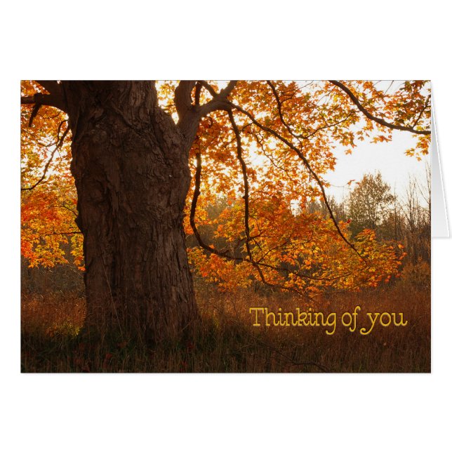 De oude eikenboom (Voorkant Horizontaal)