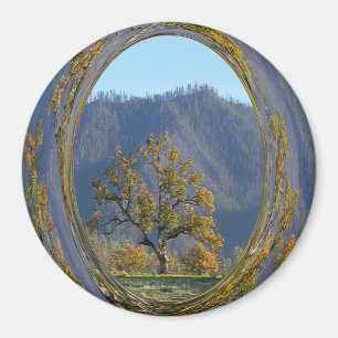 De oude eikenboom.... magneet