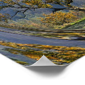 De oude eikenboom..... poster (Hoek)