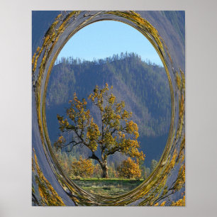 De oude eikenboom..... poster