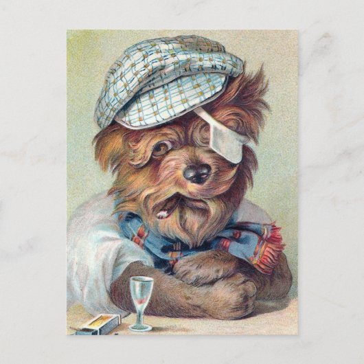 "De oude  hond" Briefkaart (Voorkant)