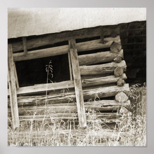 De oude Logcabine Poster (Voorkant)
