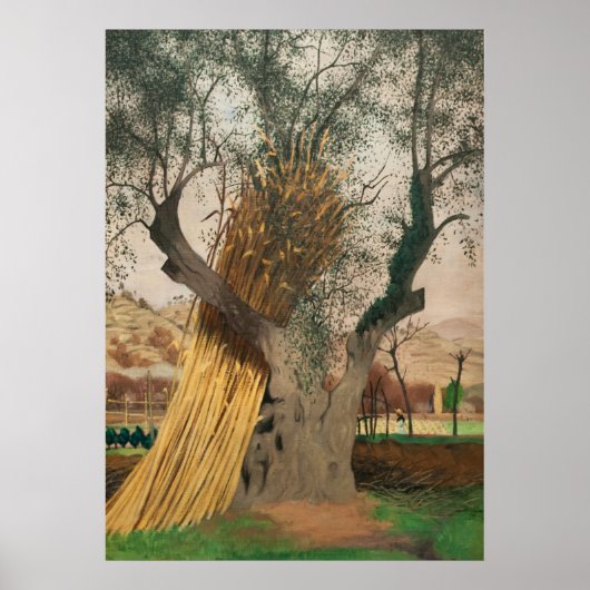 DE OUDE OLIJFBOOM POSTER (Voorkant)