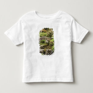 De oude Stone Brug over een stroom in het park Dar Kinder Shirts