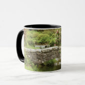 De oude Stone Brug over een stroom in het Park van Mok (Voorkant links)