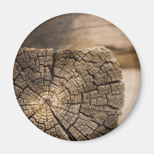 De oude Texturen van de Cabine Magneet (Voorkant)