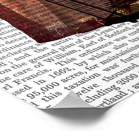 De Owl Lady Poster (Hoek)