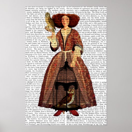 De Owl Lady Poster (Voorkant)