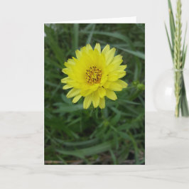 De Paardebloem Notecards van Texas (Spatie binnen) Kaart