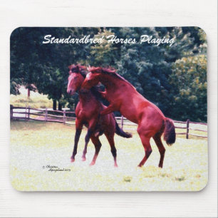 De paarden die van Standardbred Mousepad spelen Muismat