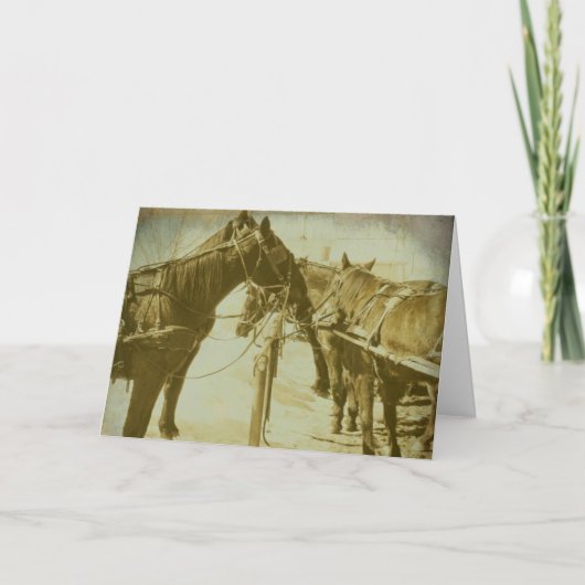 De Paarden van Amish, Verjaardag Kaart (Voorkant)