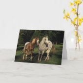 De Paarden van Appaloosa Kaart (Gele Bloem)