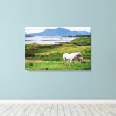 De paarden van Connemara | Galway, Ierland Canvas Afdruk (Insitu (Houten vloer))