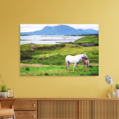 De paarden van Connemara | Galway, Ierland Canvas Afdruk (Insitu (Woonkamer))
