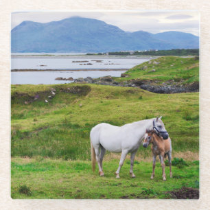 De paarden van Connemara   Galway, Ierland Glazen Onderzetter