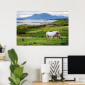 De paarden van Connemara | Galway, Ierland Poster (Thuiskantoor)
