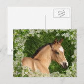 De Paarden van de fantasie: Bloemen Briefkaart (Voorkant / Achterkant)