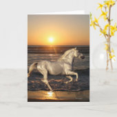 De Paarden van de fantasie: Zonsondergang Kaart (Gele Bloem)