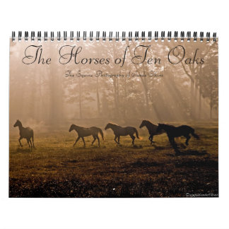 De paarden van Tien Oaks Kalender