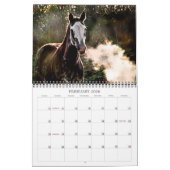De paarden van Tien Oaks Kalender (Feb 2026)