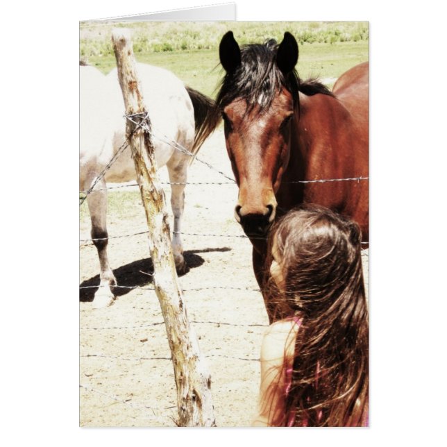 De paardenluisteraar (Voorkant)