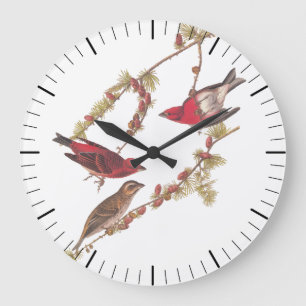 De Paarse Finch Red Birds kunst van Audubon Grote Klok