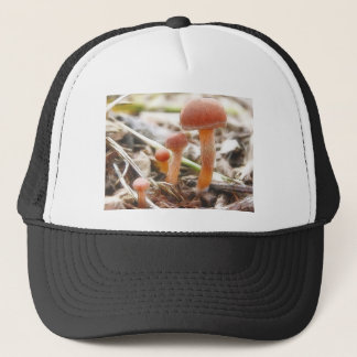 De paddenstoelenfamilie trucker pet