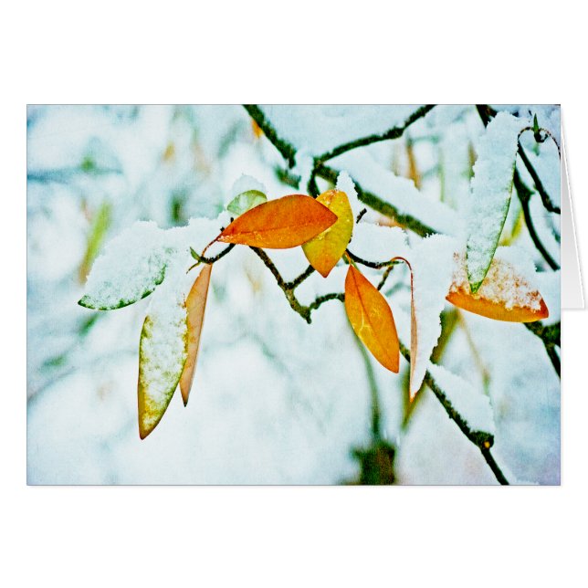 De pagina draaien (Voorkant Horizontaal)