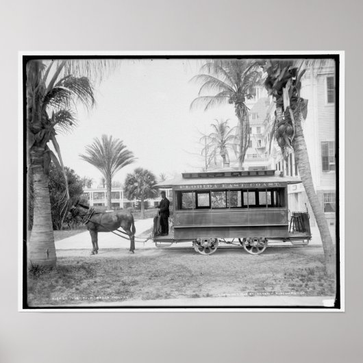 De Palm Beach trolley Poster (Voorkant)