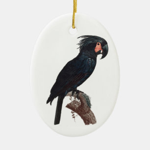 De Palm Cockato, Probosciger aterrimus Parrot Keramisch Ornament
