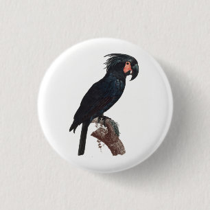De Palm Cockato, Probosciger aterrimus Parrot Ronde Button 3,2 Cm