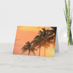 De Palmen van Miami Kaart