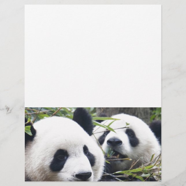 De panda draagt (Voorkant)