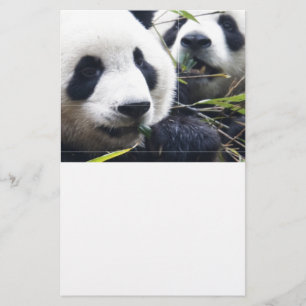 De panda draagt briefpapier