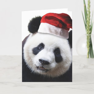 De Panda van Kerstmis draagt Feestdagen Kaart