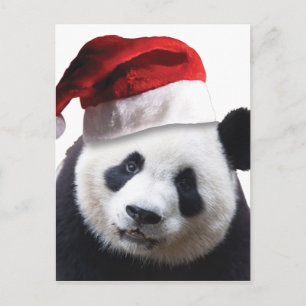 De Panda van Kerstmis draagt Feestdagenkaart