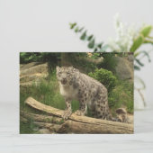 De panter (Staand voorkant)