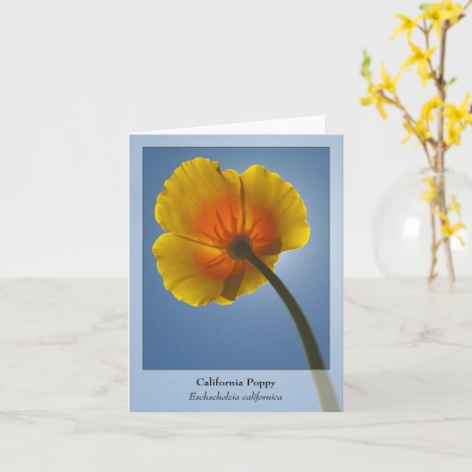 De Papaver van Californië - Inheemse Notecard Kaart (Gele Bloem)
