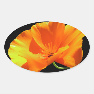 De Papaver van Californië Ovale Sticker