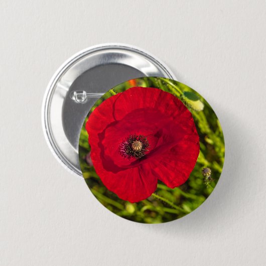 De papaverreeks #2 ronde button 5,7 cm (Voorkant /achterkant)