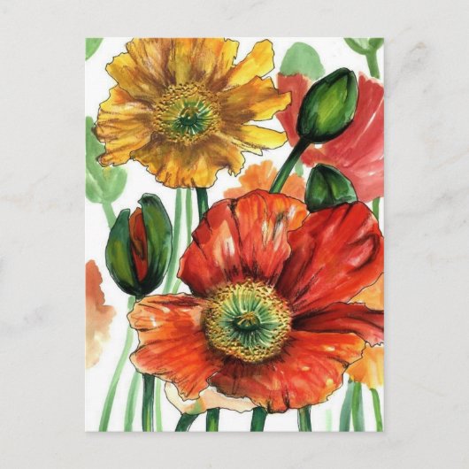 De Papavers van IJsland Briefkaart (Voorkant)