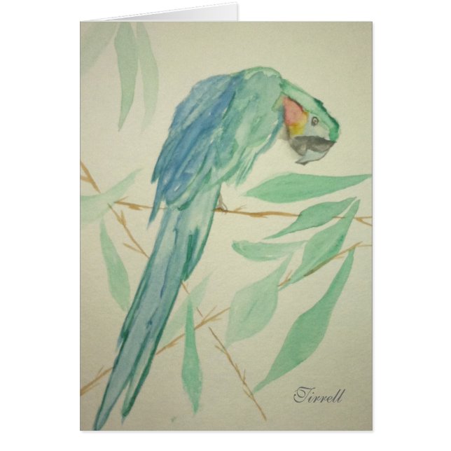 De papegaai (Voorkant)