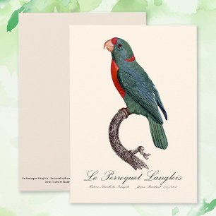 De papegaai Langlois van Jacques Barraband Bedankkaart