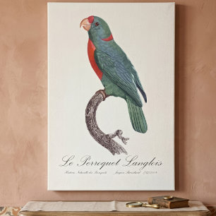 De papegaai Langlois van Jacques Barraband Canvas Afdruk