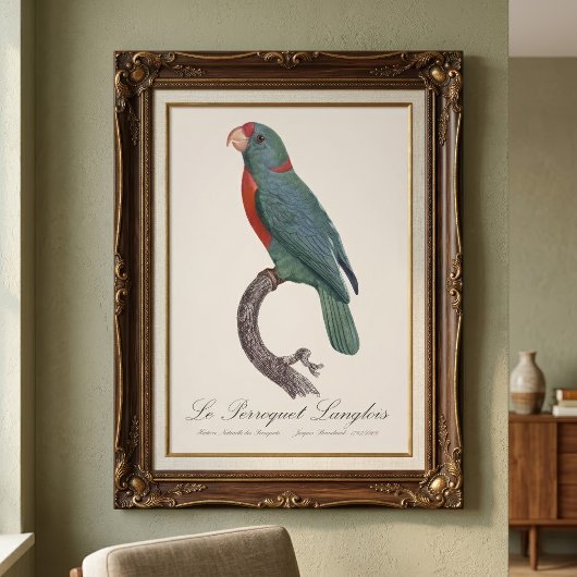 De papegaai Langlois van Jacques Barraband Foto Afdruk