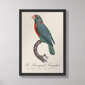 De papegaai Langlois van Jacques Barraband Foto Afdruk